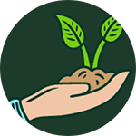 hand holding soil with plant sprout